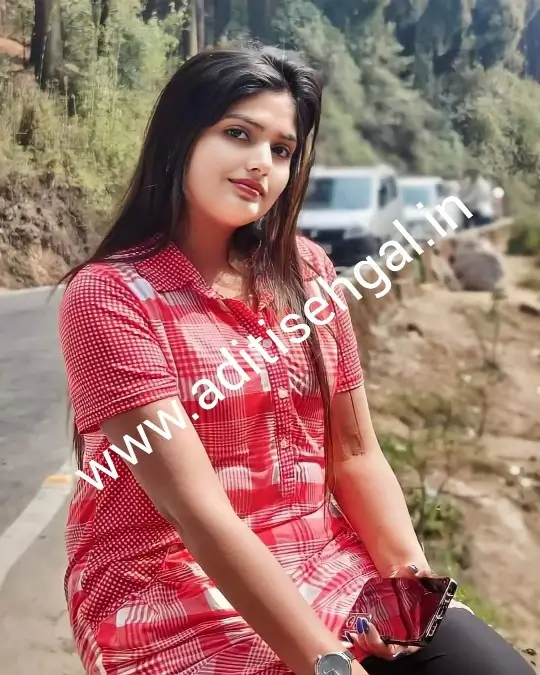 anytime hire russian call girls in Noida